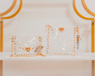 Large clear bag (Mix &  Match Styles-Accessories Collection ONLY/$100 Minimum)